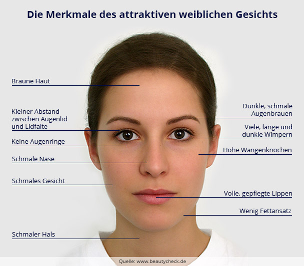 Der Aufbau des Gesichts einer attraktiven Frau