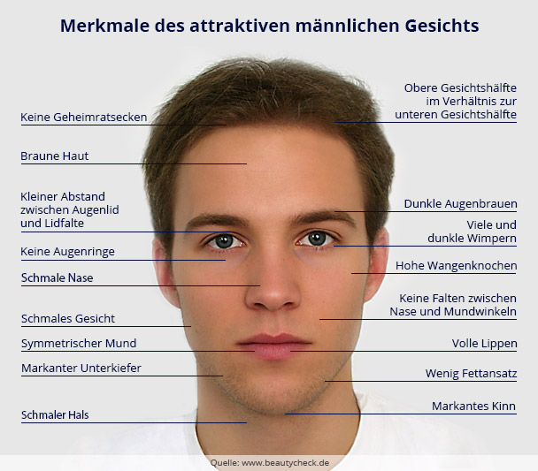 Der Aufbau eines attraktiven männlichen Gesichts